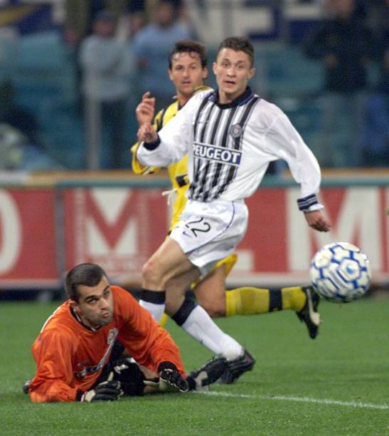 鱼成功率 鱼成功率